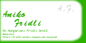 aniko fridli business card