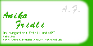 aniko fridli business card